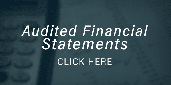 Audited Financial Statements